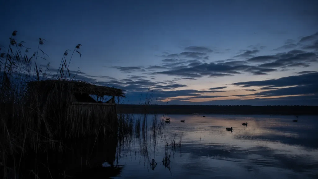 Une hutte de chasse au bord d’un marais avant le jour, des appelants sur l’eau noire