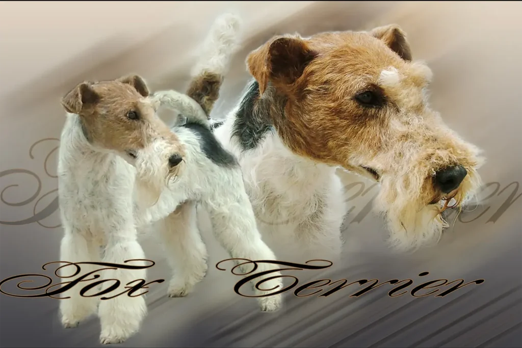 Fox Terrier, chien de chasse — motifs personnalisés pets-easy