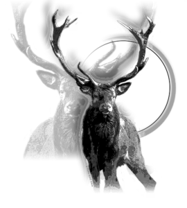 Motif Cerf pour débardeur de chasse personnalisé