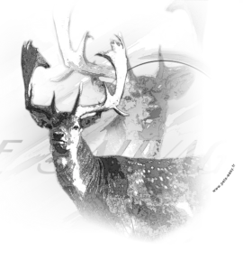 Motif Daim pour débardeur de chasse personnalisé