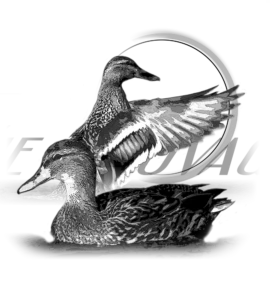 Motif Canard pour débardeur de chasse personnalisé