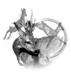 Motif Chevreuil pour débardeur de chasse personnalisé