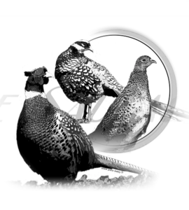 Motif Faisan pour débardeur de chasse personnalisé