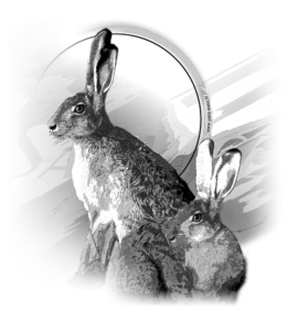 Motif Lièvre pour débardeur de chasse personnalisé
