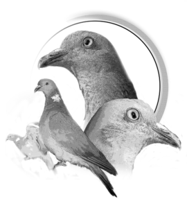 Motif Palombe pour débardeur de chasse personnalisé