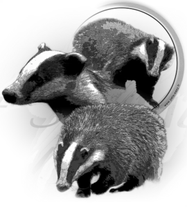 Motif Blaireau pour débardeur de chasse personnalisé